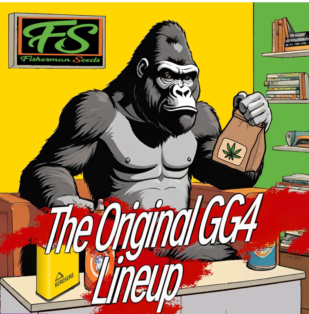 The Original GG4 Lineup - Fisherman Seeds