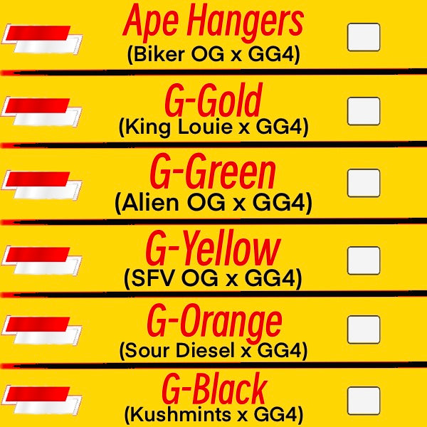 The Original GG4 Lineup - Fisherman Seeds