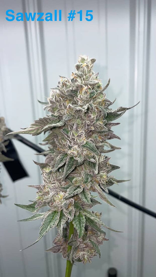 Sawzall OG