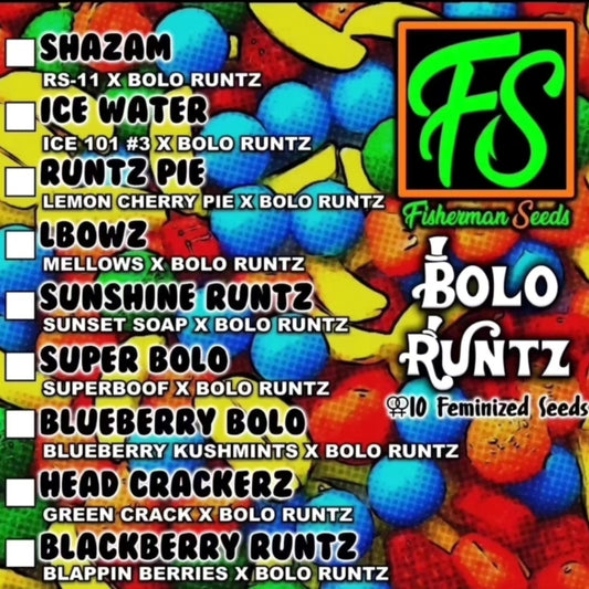 Super Bolo