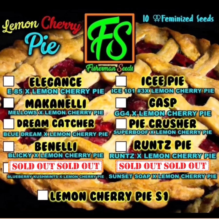 Icee Pie